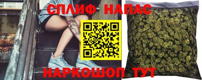 Альфа ПВП Малгобек