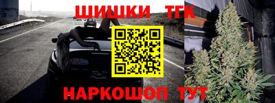 Альфа ПВП Малгобек