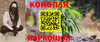 Альфа ПВП Малгобек