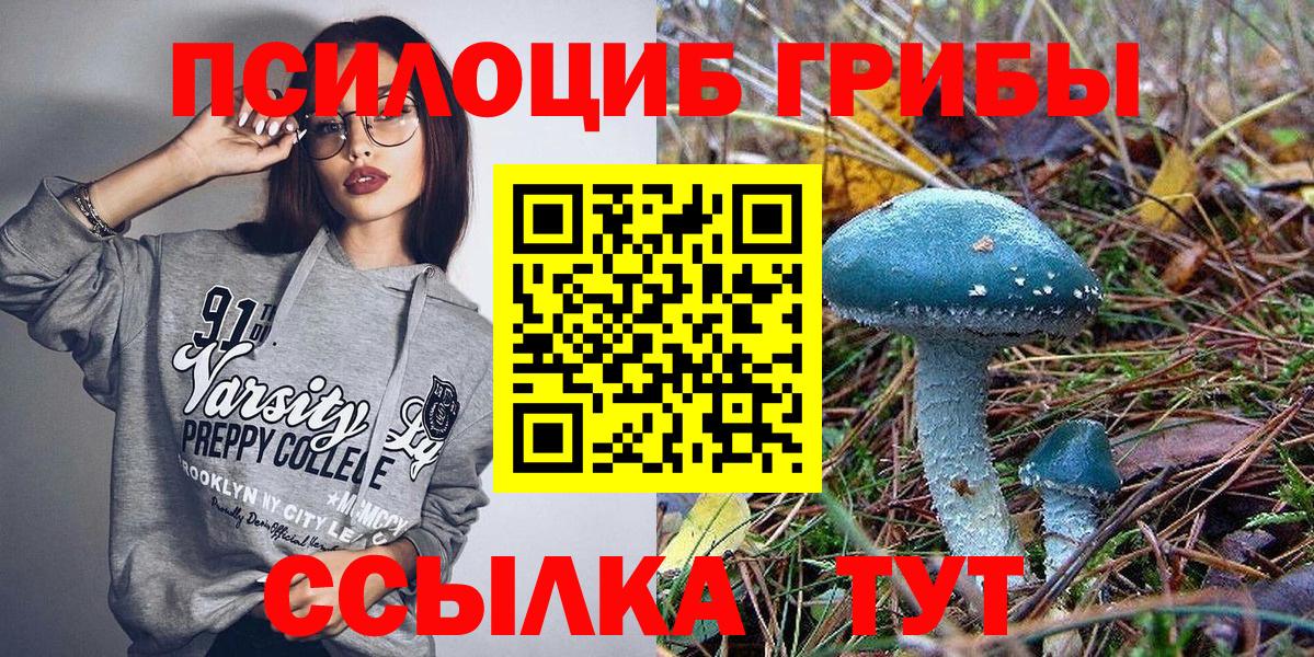 Галлюциногенные грибы Psilocybine cubensis  Галлюциногенные грибы прущие грибы  Вход с VPN  Усть-Илимск 