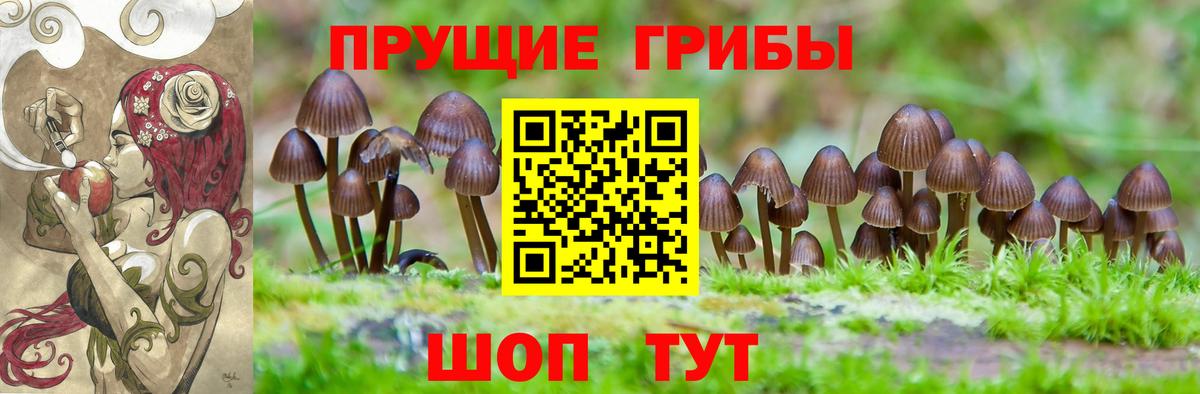 Галлюциногенные грибы Magic Shrooms Усть-Илимск