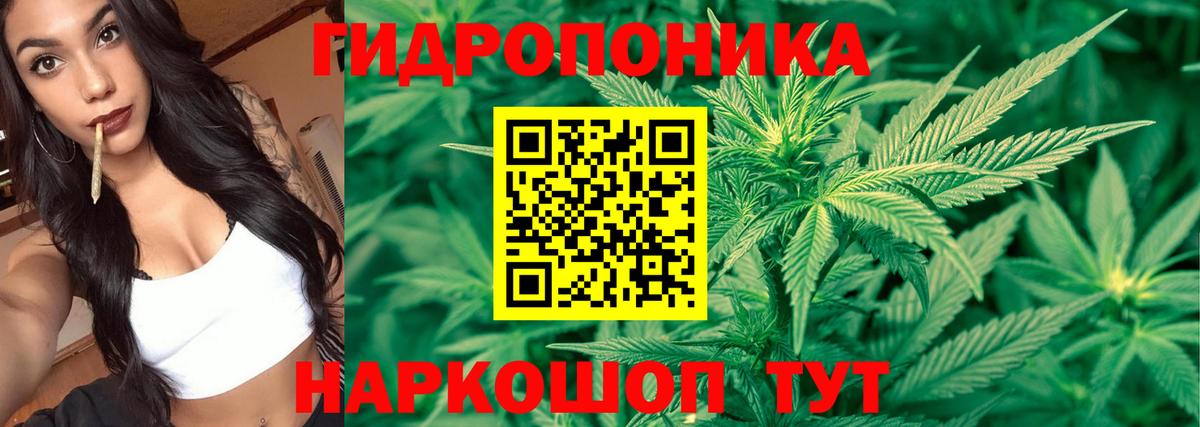 Усть-Илимск  Бошки Шишки сатива  Бошки Шишки конопля  Вход с VPN  Марихуана тримм  Каннабис OG Kush 